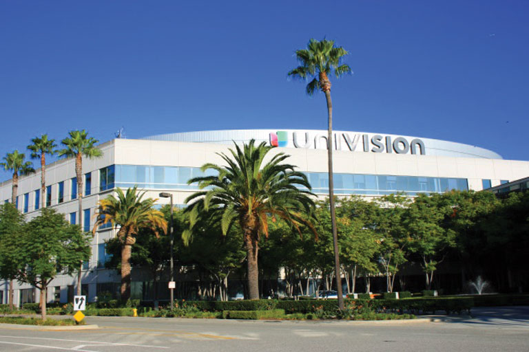 The threat of signal piracy to broadcasters serving minority communities